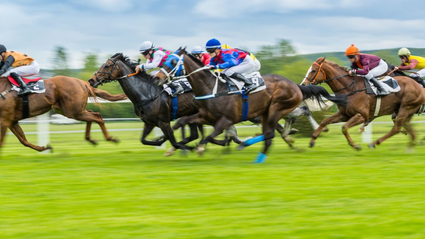 Horse Racing Wineport Lodge