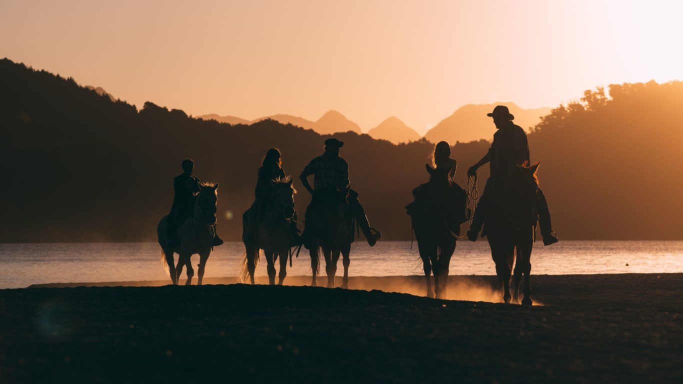 Horse Riding Wineport Lodge