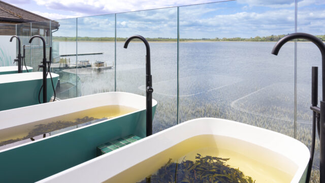 Wineport – Cedarwood Spa 20222